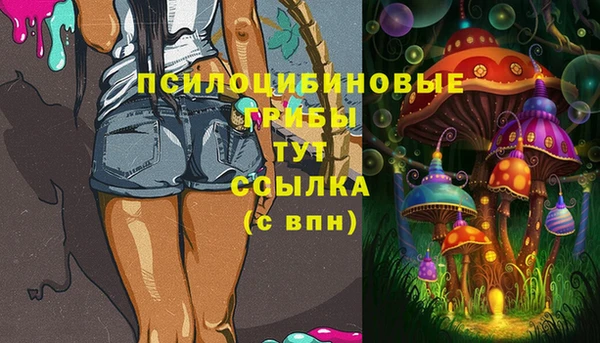 мескалин Арсеньев