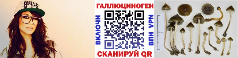 Псилоцибиновые грибы MAGIC MUSHROOMS  как найти закладки  Унеча 
